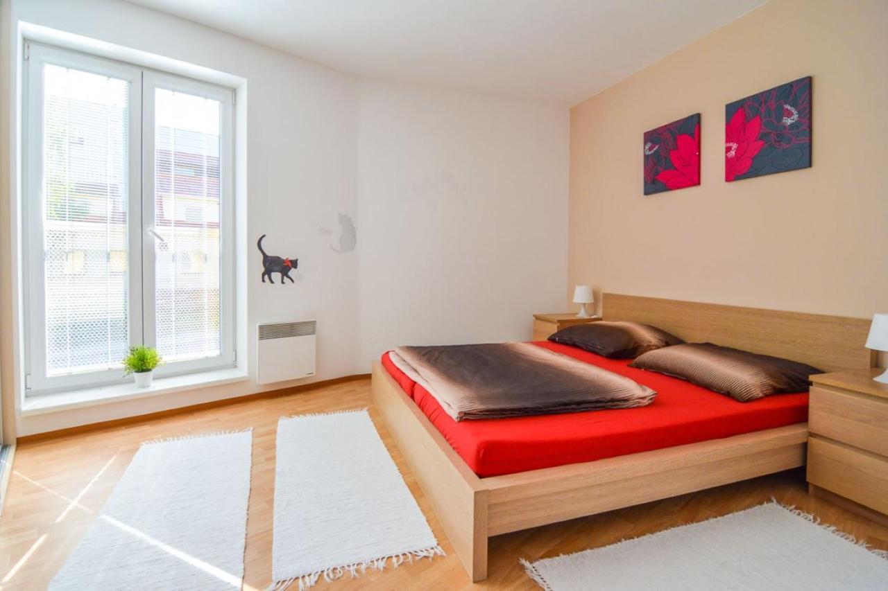 Apartman U Kostela Destne v Orlickych horach Exterior photo